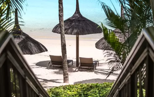 Royal Palm Hires 8538